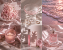 Ombre Rush Medium Almond press-on nails with blush pink ombré and soft milky white tip by NEWRUSH